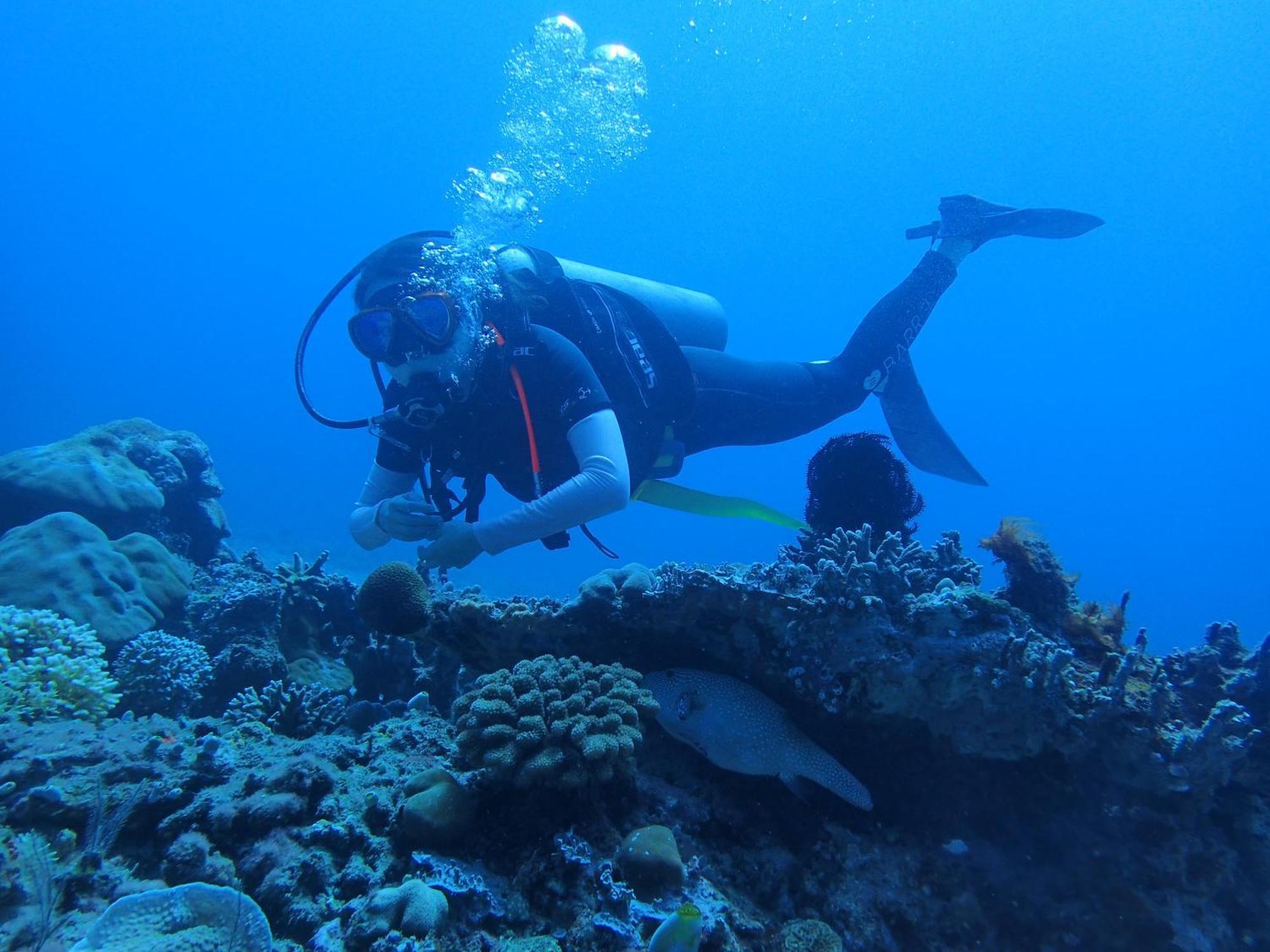 East Lombok Dive Hotel - 3 Private Rooms On The Beach Labuhan Pandan المظهر الخارجي الصورة
